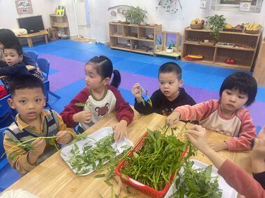 Các bạn học sinh lớp A3 sẽ giúp bà, giúp mẹ nhạt rau ạ