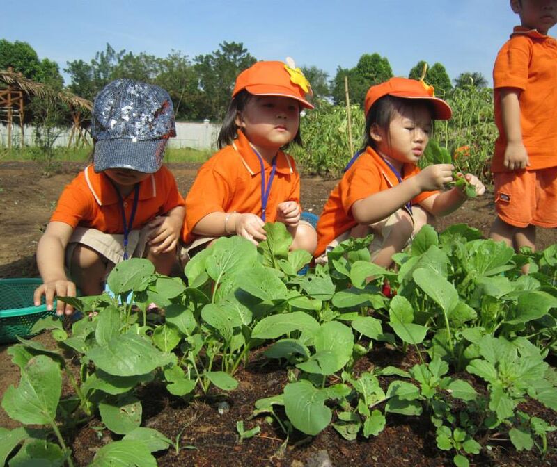 Hoạt động dã ngoại, vui chơi ngoài trời “dạy” bé nhiều hơn bạn nghĩ