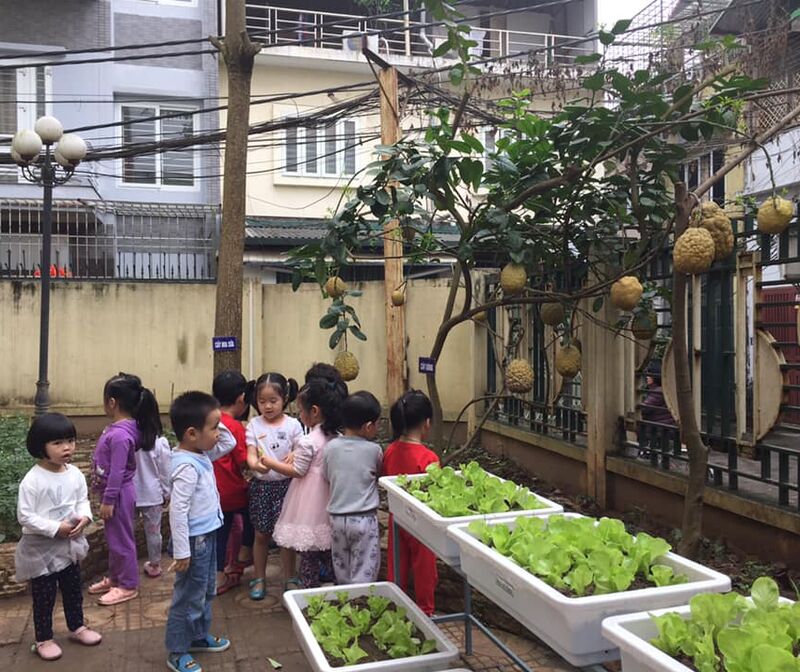 100 câu hỏi của bé