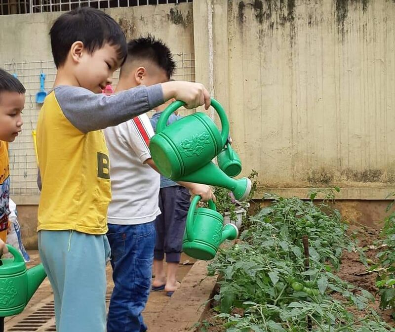 HOẠT ĐỘNG TRẢI NGHIỆM: CHĂM SÓC VƯỜN RAU