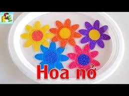 HOA GIẤY NỞ TRONG NƯỚC.