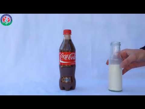 Thí nghiệm vui: Cô ca và sữa