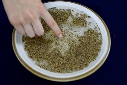 Thí nghiệm vui: Hạt tiêu chạy trốn