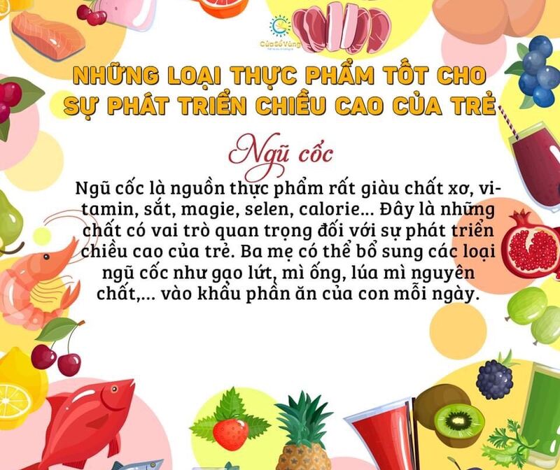 🍑🥗🥘 NHỮNG LOẠI THỰC PHẨM TỐT CHO SỰ PHÁT TRIỂN CHIỀU CAO CỦA TRẺ