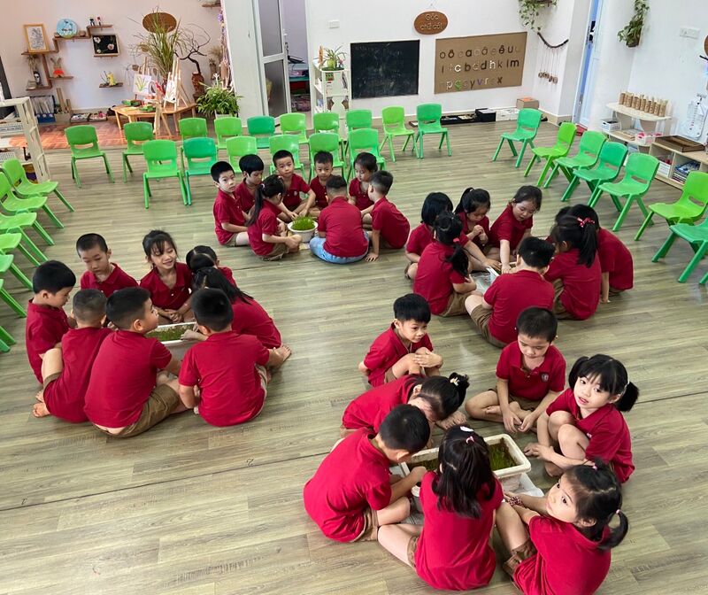 Khối mẫu giáo lớn thực hiện dự án " Hương cốm mới " với những trải nghiệm đầy thú vị, hào hứng