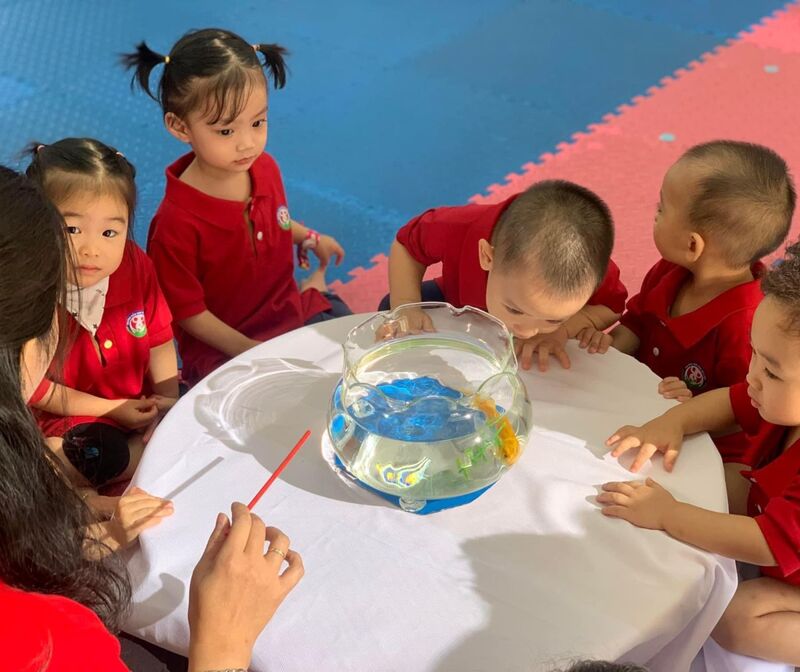 Hoạt động nhận biết: Cá vàng của các bé lớp nhà trẻ D2