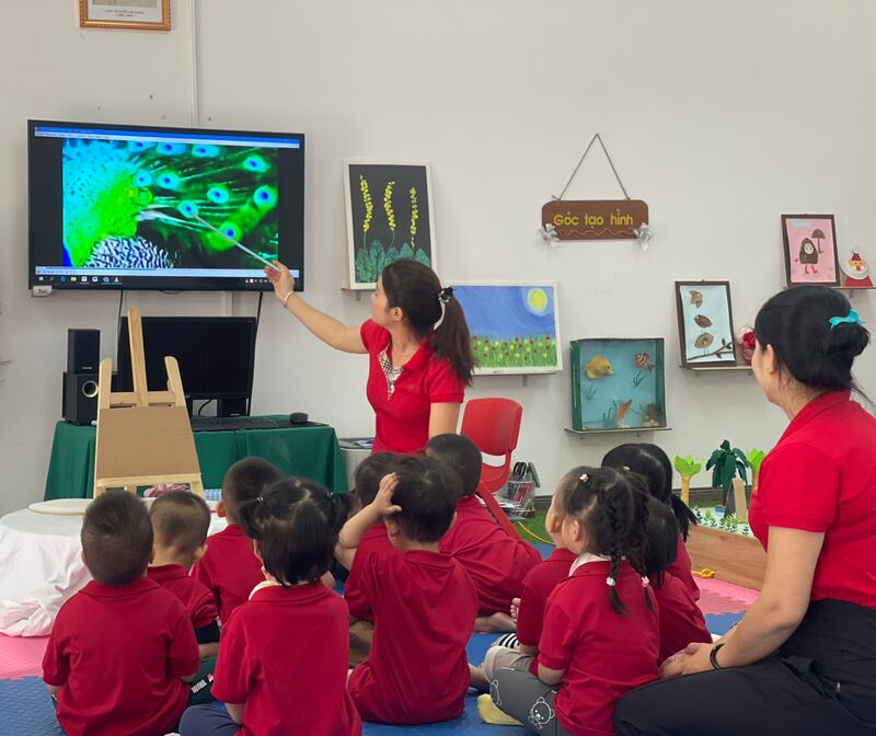 Hoạt động tạo hình: Chấm màu đuôi công - lớp nhà trẻ D2