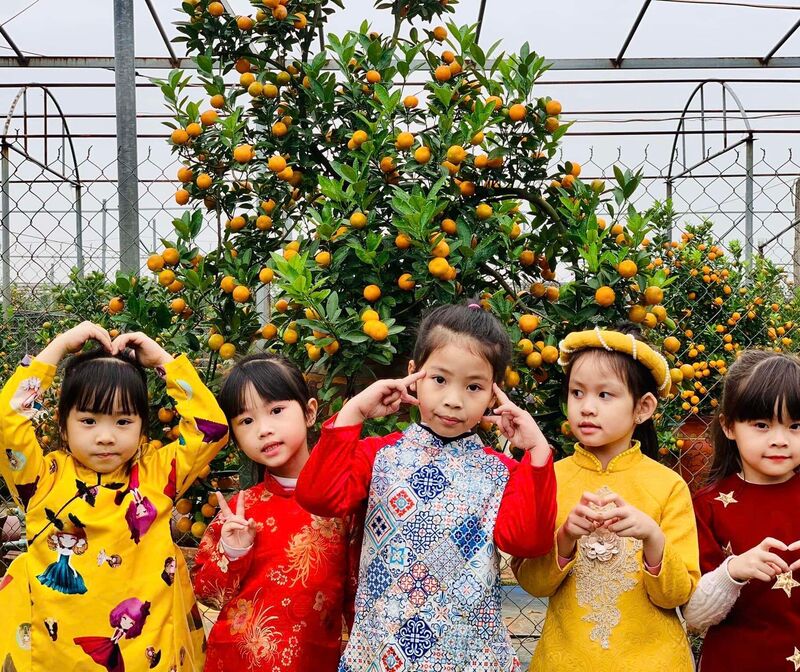 Tham quan làng nghề trồng quất cảnh của các bé!