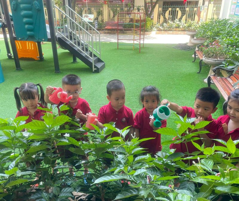 🌏 TRƯỜNG MN TỨ LIÊN “CHUNG TAY HÀNH ĐỘNG CHO THẾ GIỚI SẠCH HƠN”