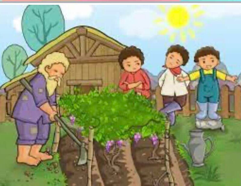 Dạy trẻ LQVH truyện: Người làm vườn và các con trai