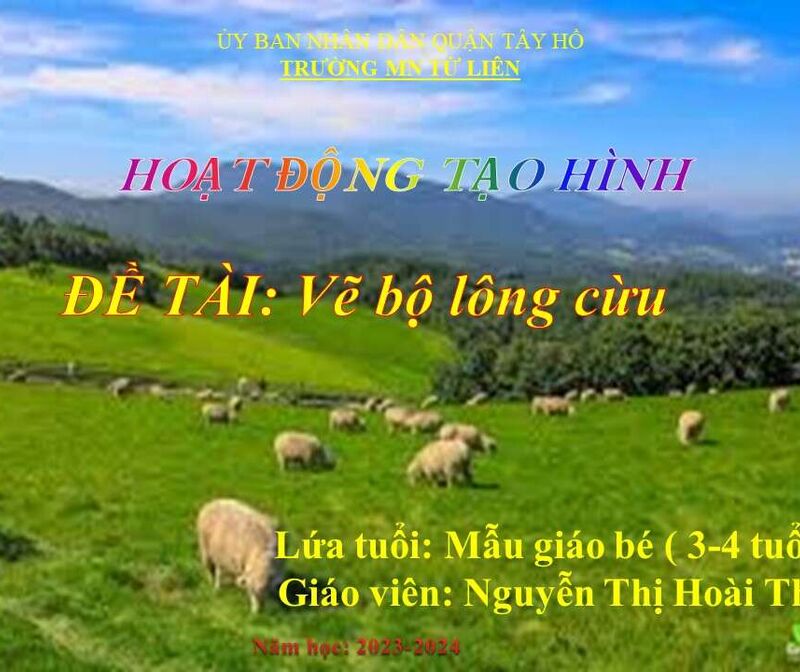 Hoạt Động: Tạo hình: Vẽ bộ lông cừu