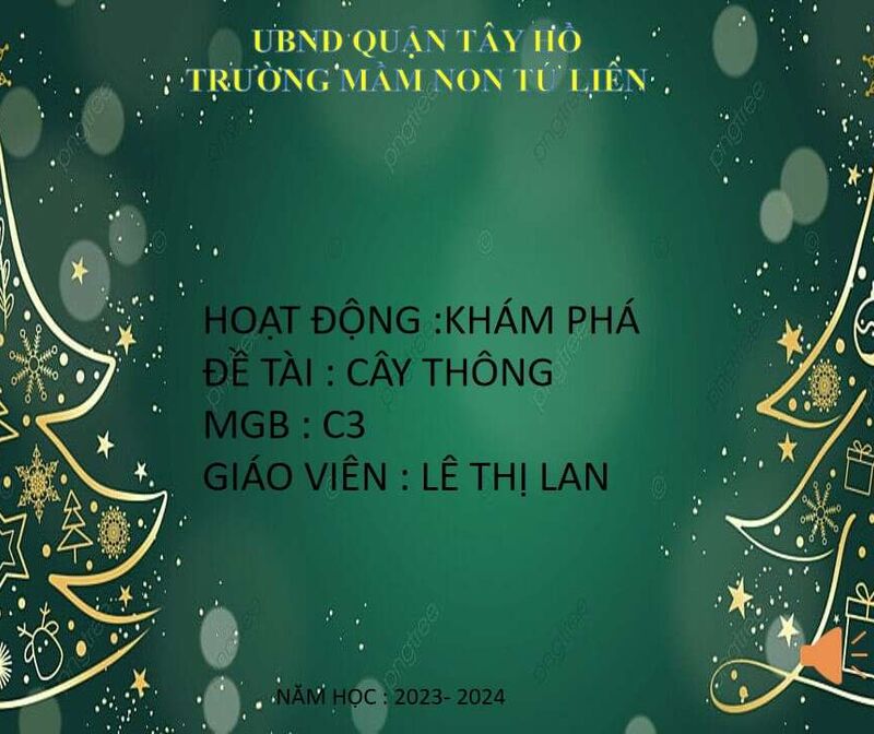 HOẠT ĐỘNG: KHÁM PHÁ CÂY THÔNG NOEL