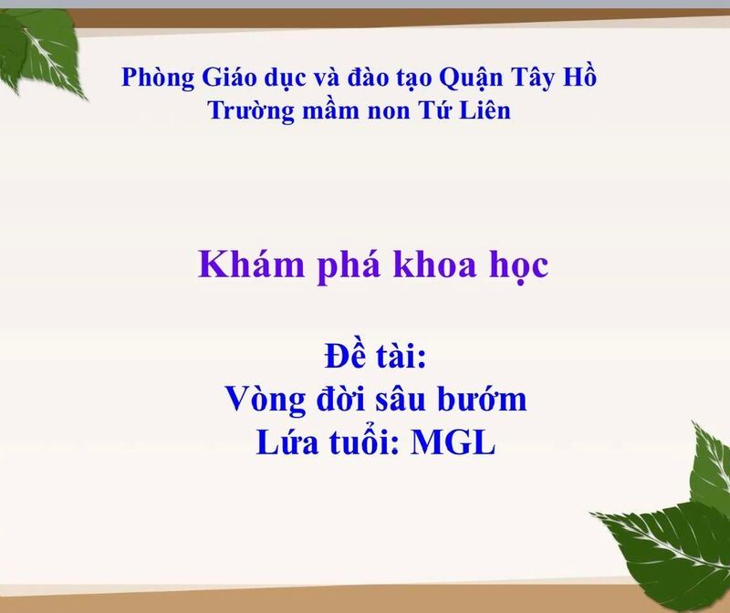 Hoạt động khám phá : Vòng đời sâu bướm