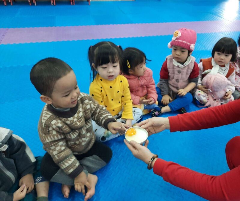 Dự án trứng - Nhà trẻ