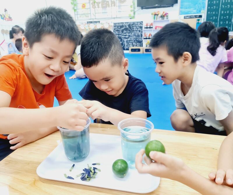 HĐ Thí Nghiệm: Sự đổi màu của hoa đậu biếc