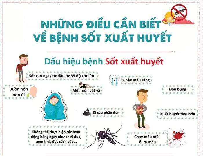 Những điều cần biết về bênh Sốt Xuất Huyết