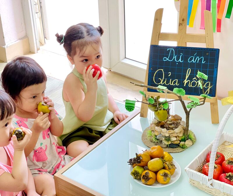 Báo cáo dự án " Quả Hồng " của khối Mẫu giáo bé !!!