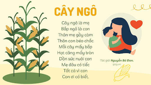 Làm quen văn học: Thơ cây ngô