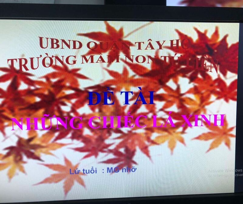 Hoạt đông khám phá : Khám phá chiếc lá