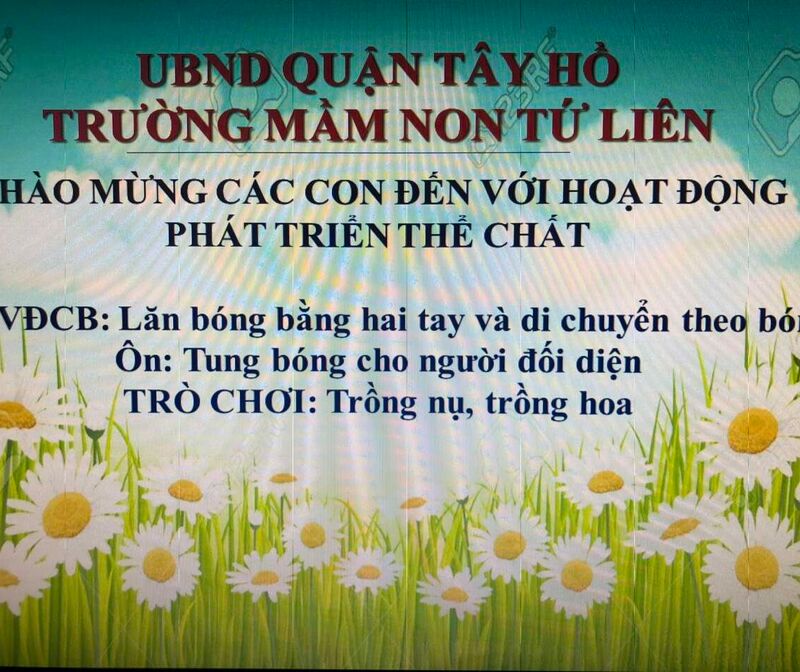 Hoạt động phát triển vận động :VĐCB: Lăn bóng bằng hai tay và di chuyển theo bóng.Ôn:Tung bắt bóng với người đối diện .TCVĐ: Trồng nụ trồng hoa.