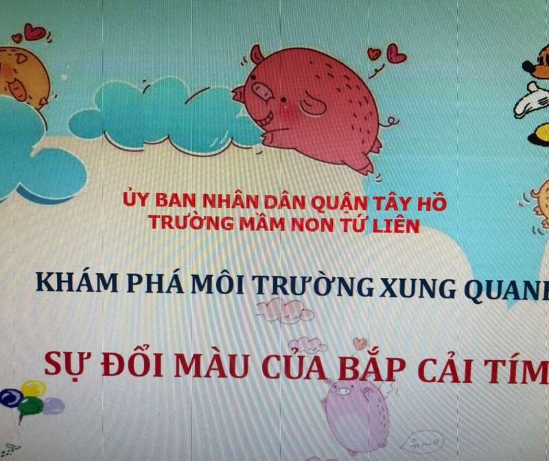 Hoạt động khám phá: Sự đổi màu của bắp cải tím