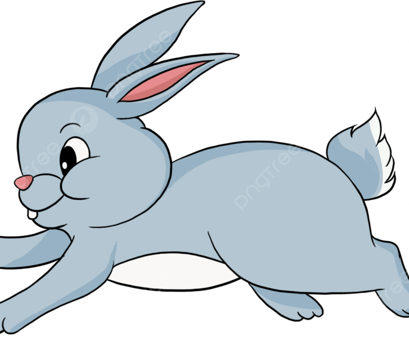 Hoạt động văn học:Chú thỏ thông minh