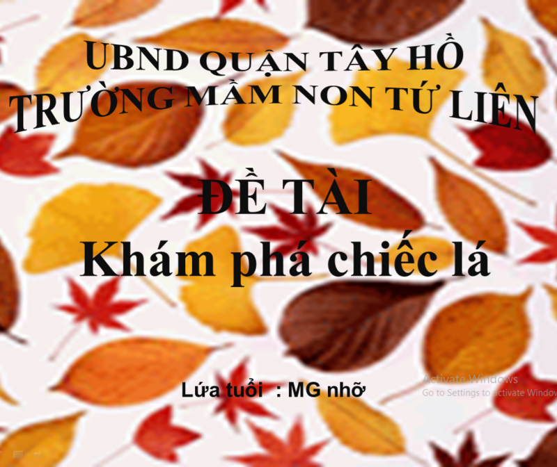 Hoạt đông khám phá : Khám phá chiếc lá