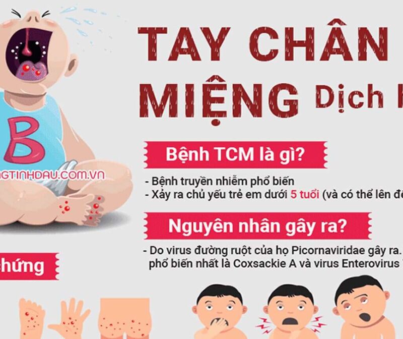 Video tuyên truyền phòng dịch Tay - Chân - Miệng (Bộ y tế)