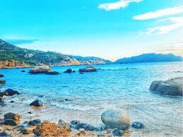 Hoạt động âm nhạc: Dạy VĐMH : Bé yêu biển lắm - TC: Qủa bóng vui nhộn