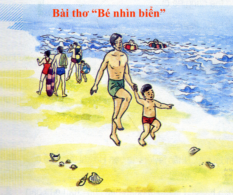 Dạy trẻ thơ " Bé nhìn biển "