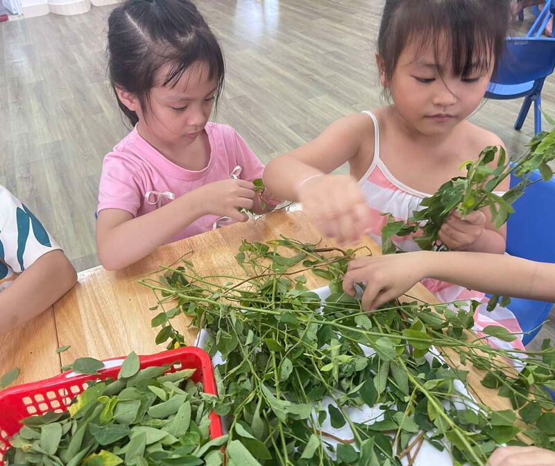 Mùa hè này các bé học gì tại trường Mầm non Tứ Liên ?