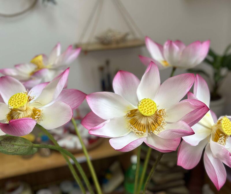 Khám phá Hoa Sen - Khối mẫu giáo nhỡ