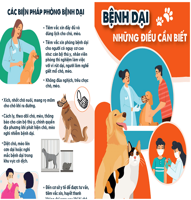 TUYÊN TRUYỀN  PHÒNG, CHỐNG BỆNH DẠI