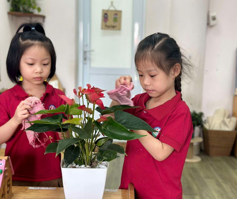 Các bạn học sinh khối mẫu giáo lớn đã giúp đỡ cô những việc gì?