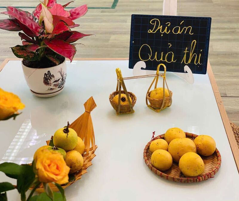 Khối MGB với dự án "Quả thị"