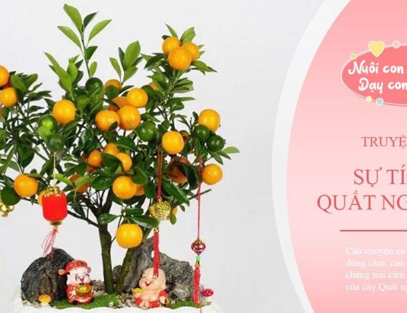 Làm quen văn học: Sự tích cây quất ngày tết