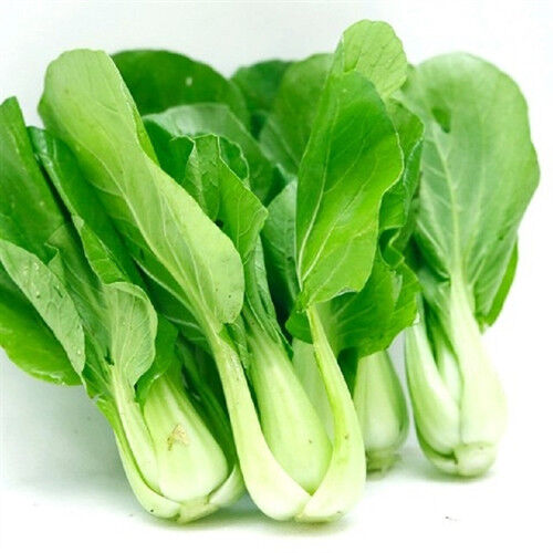 Hoạt động tạo hình:Chấm màu tạo thành vườn rau