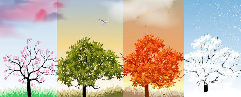 Bài giảng điện tử . Đề tài"Nghe và cảm nhận âm nhạc bản Concerto Bốn Mùa của Vivaldi "