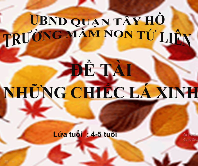 Hoạt đông khám phá : Khám phá chiếc lá