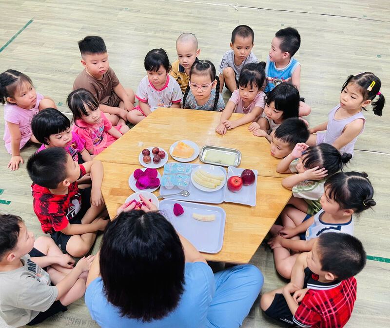 🌈 HOẠT ĐỘNG DẠY KỸ NĂNG: BÉ LÀM SA LÁT HOA QUẢ  🍎🍌🍓🥣