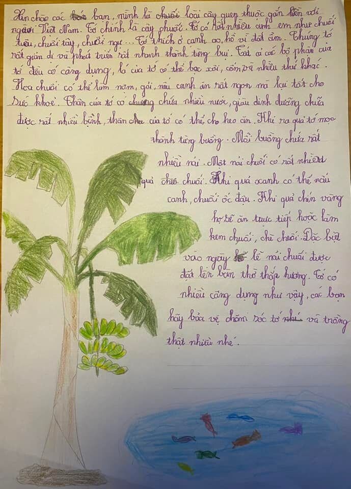 CÂY CHUỐI VÀ CÂY CHANH