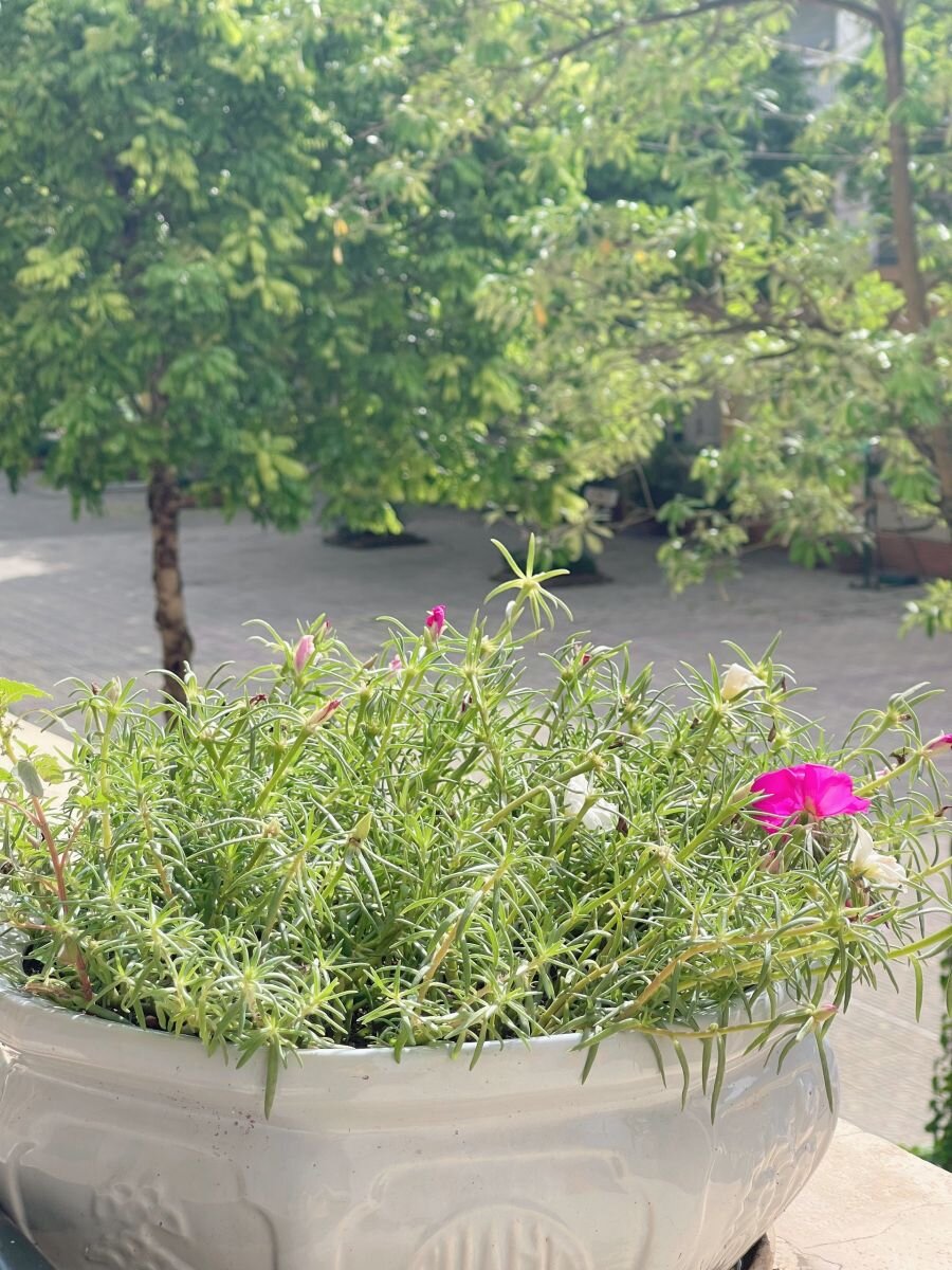 📸 Trường Tiểu học Nhật Tân tích cực hỗ trợ CMHS đăng ký tuyển sinh trực tuyến trong ngày tuyển sinh trực tuyến thứ hai 💕