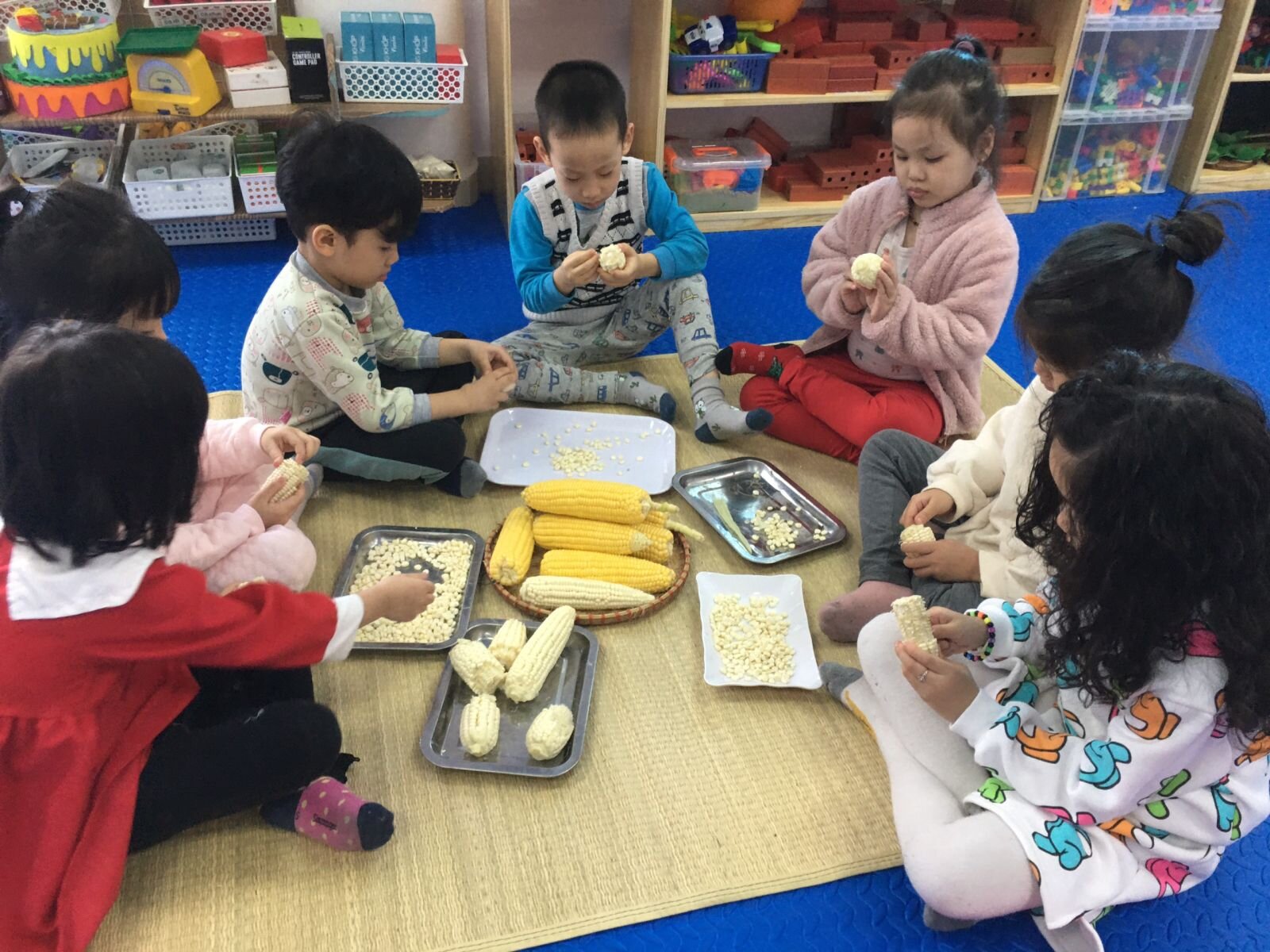 MGL A4 mở dự án: Bắp ngô