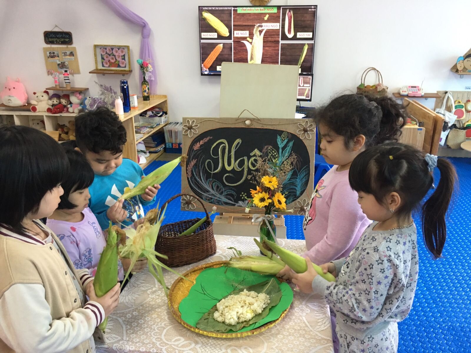 MGL A4 mở dự án: Bắp ngô