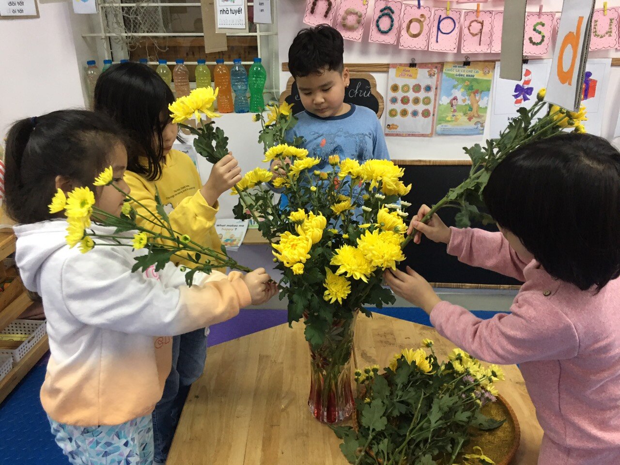 Hoa gì tươi thắm sắc vàng, Cánh dài hoa nở rộn ràng sắc xuân?  Rất nhiều điều thú vị đến từ dự án hoa cúc của các bạn MGL