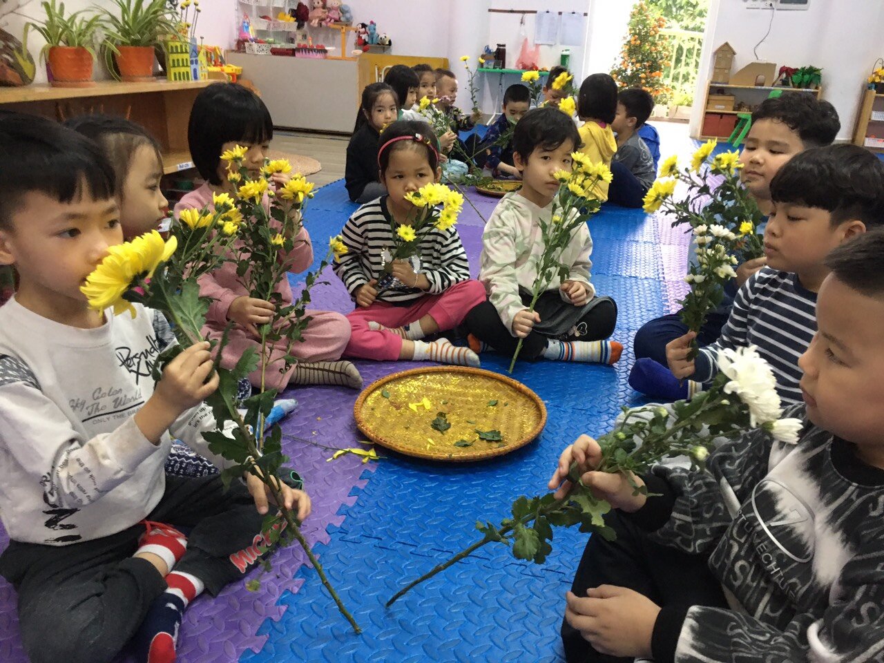 Hoa gì tươi thắm sắc vàng, Cánh dài hoa nở rộn ràng sắc xuân?  Rất nhiều điều thú vị đến từ dự án hoa cúc của các bạn MGL