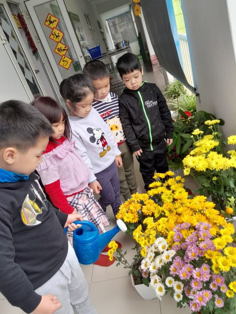 Hoa gì tươi thắm sắc vàng, Cánh dài hoa nở rộn ràng sắc xuân?  Rất nhiều điều thú vị đến từ dự án hoa cúc của các bạn MGL