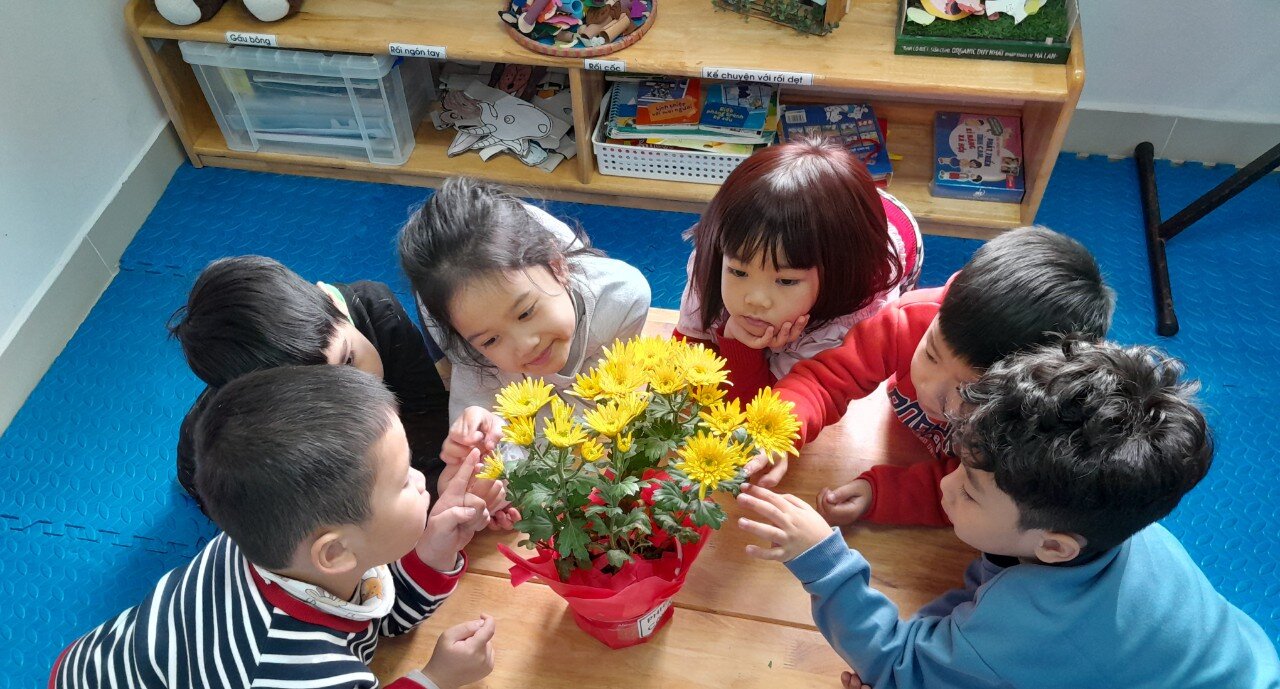 Hoa gì tươi thắm sắc vàng, Cánh dài hoa nở rộn ràng sắc xuân?  Rất nhiều điều thú vị đến từ dự án hoa cúc của các bạn MGL