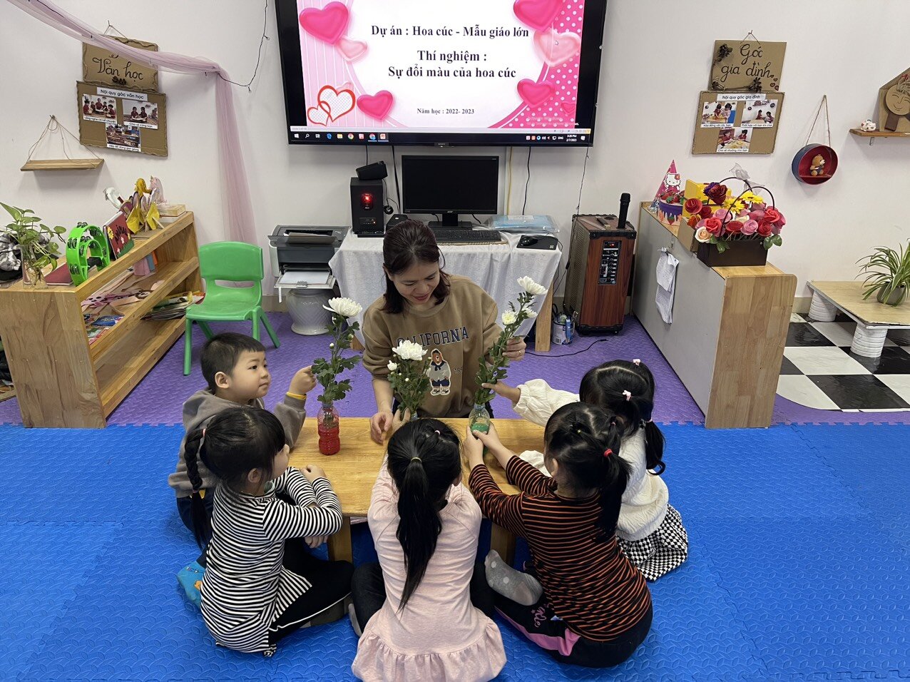 Hoa gì tươi thắm sắc vàng, Cánh dài hoa nở rộn ràng sắc xuân?  Rất nhiều điều thú vị đến từ dự án hoa cúc của các bạn MGL