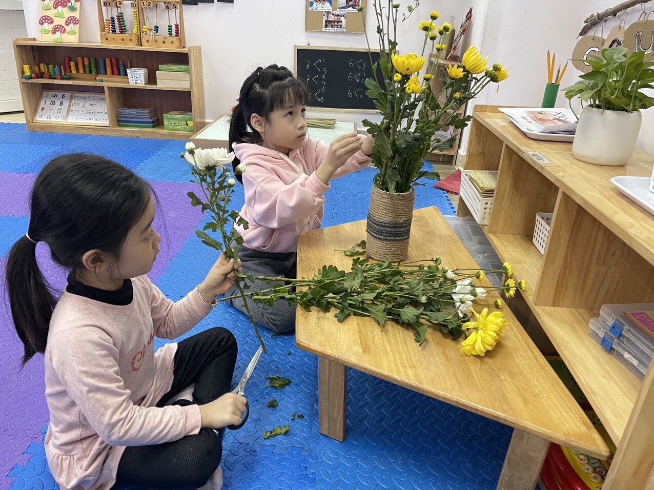 Hoa gì tươi thắm sắc vàng, Cánh dài hoa nở rộn ràng sắc xuân?  Rất nhiều điều thú vị đến từ dự án hoa cúc của các bạn MGL